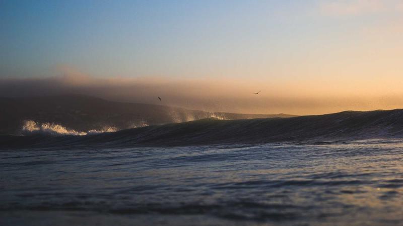 88影视网都市情感剧作品案例